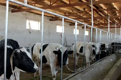 内蒙古中谷良种奶牛有限公司改扩建项目